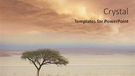  Presentation with savannah - Audience pleasing slide deck consisting of african-landscapes-alone-tree backdrop and a coral colored foreground