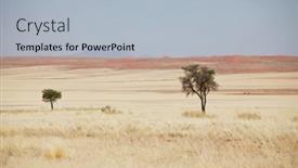  Presentation with savannah - Cool new theme with african-landscapes-alone-tree backdrop and a light blue colored foreground