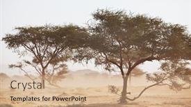  Presentation with blue yellow - Cool new PPT theme with african-landscapes-hot-yellow-bush backdrop and a coral colored foreground