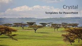 Presentation with blue yellow - Audience pleasing PPT theme consisting of african-landscapes-hot-yellow-bush backdrop and a light blue colored foreground