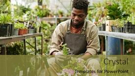  Presentation with african - Slide deck having african-male-florist-making-flowerbed background and a gold colored foreground