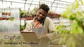  Presentation with order - Presentation theme having african-male-flower-seller-writing background and a  colored foreground