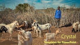  Presentation with village - Presentation design having african-man-with-his-herd background and a tawny brown colored foreground