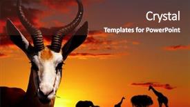  Presentation with nature - Presentation theme having african nature concept background and a tawny brown colored foreground