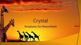  Presentation with savanna - Presentation enhanced with african nature concept background and a gold colored foreground