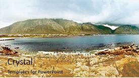  Presentation with nature animals birds - Theme featuring african penguins wildlife safari animal background and a yellow colored foreground