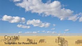  Presentation with dry - Beautiful presentation featuring african-plains-zebras backdrop and a yellow colored foreground