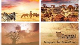  Presentation with animal collage - PPT theme enhanced with african safari collages background and a yellow colored foreground