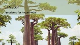  Presentation with savanna - PPT theme with african savanna - baobab trees and rural road background and a yellow colored foreground