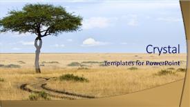  Presentation with savanna - PPT theme featuring african savanna - view of a tree background and a sky blue colored foreground