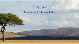  Presentation with savanna - Audience pleasing presentation design consisting of african savanna - view of a tree backdrop and a lemonade colored foreground