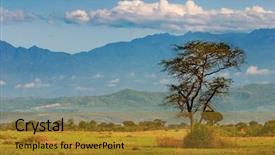  Presentation with savanna - Beautiful theme featuring african savanna and rwenzori mountains backdrop and a gold colored foreground