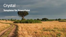  Presentation with savanna - Audience pleasing theme consisting of african savanna in queen elizabeth backdrop and a gray colored foreground