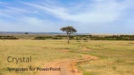  Presentation with african sunset - Beautiful PPT theme featuring african-savannah-in-the-spring backdrop and a yellow colored foreground