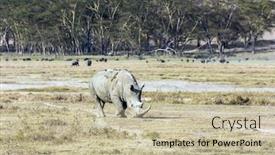  Presentation with savannah - Presentation theme enhanced with african-savannah-on-the-shores background and a mint green colored foreground