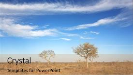  Presentation with south africa - PPT theme consisting of african skies the scrubland background and a  colored foreground