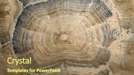  Presentation with tortoise - PPT theme with african spurred tortoise top down background and a tawny brown colored foreground