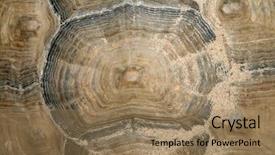  Presentation with tortoise - Colorful slide set enhanced with african spurred tortoise top down backdrop and a coral colored foreground