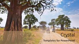  Presentation with jeep - Colorful slide set enhanced with african trees and safari jeep backdrop and a coral colored foreground