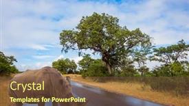  Presentation with africa tourism - Cool new presentation design with african-white-rhino-with-powerful backdrop and a tawny brown colored foreground