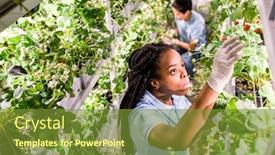  Presentation with greenhouse - Slide deck enhanced with african-woman-in-gloves background and a tawny brown colored foreground