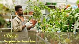  Presentation with flower pots - Presentation design featuring african-young-florist-checking background and a tawny brown colored foreground