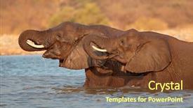  Presentation with elephants - Theme consisting of africana standing in water etosha background and a tawny brown colored foreground