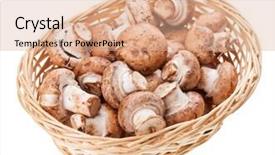  Presentation with bisporus - Slide deck featuring agaricus bisporus - brown champignon mushrooms in wicker background and a coral colored foreground