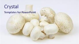  Presentation with bunch - Presentation theme with agaricus bisporus - bunch of button mushrooms background and a sky blue colored foreground