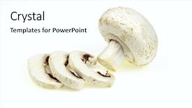  Presentation with bisporus - Colorful slides enhanced with agaricus bisporus - button mushroom with some slices backdrop and a white colored foreground