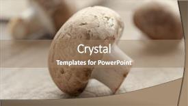  Presentation with mushroom - Slide deck with agaricus bisporus - fresh chestnut mushroom close up background and a coral colored foreground
