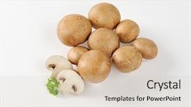  Presentation with bisporus - Amazing presentation having agaricus bisporus - group of roman brown mushrooms backdrop and a soft green colored foreground