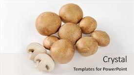  Presentation with bisporus - Audience pleasing slide set consisting of agaricus bisporus - group of roman brown mushrooms backdrop and a  colored foreground