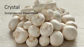  Presentation with button mushroom fresh mushroom - Theme having agaricus bisporus - heap of fresh raw button background and a mint green colored foreground