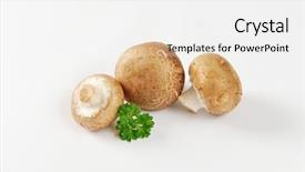  Presentation with roman - Amazing slide set having agaricus bisporus - raw cremini mushrooms roman brown backdrop and a  colored foreground