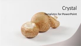  Presentation with roman coloseum - Colorful presentation design enhanced with agaricus bisporus - raw cremini mushrooms roman brown backdrop and a white colored foreground