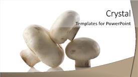  Presentation with bisporus - Amazing slides having agaricus bisporus - three mushrooms stacked on each backdrop and a white colored foreground