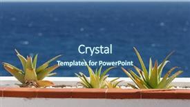  Presentation with business plan blue - Presentation theme enhanced with agave cactus plant on balcony background and a ocean colored foreground
