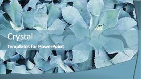  Presentation with cactus - Colorful PPT theme enhanced with super hero girl power backdrop and a light blue colored foreground