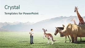  Presentation with school - Slides consisting of age outdoor with wild animal background and a  colored foreground