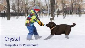  Presentation with dog park - Colorful PPT theme enhanced with age with dog in winter backdrop and a sky blue colored foreground
