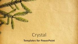  Presentation with aged paper - Presentation enhanced with sea shells and starfish with sand summer background background and a soft green colored foreground