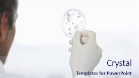  Presentation with petri dish - Theme having aged scientist examining petri dish background and a sky blue colored foreground