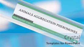  Presentation with animals - PPT theme with aggregation-pheromones-these-are-used background and a light blue colored foreground