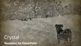  Presentation with aging - Beautiful PPT theme featuring aging photography backdrop and a gray colored foreground