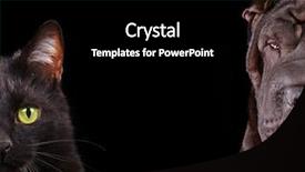  Presentation with cat dog - Slide set featuring agressivity - cat and dog - half background and a black colored foreground