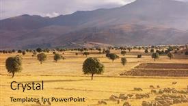  Presentation with agri - Theme with agri - picturesque rural landscapes in turkey background and a yellow colored foreground