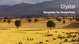  Presentation with agri - Presentation theme consisting of agri - picturesque rural landscapes in turkey background and a gray colored foreground