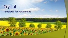  Presentation with summer sun - Slide set enhanced with young woman discovering nature in the forest environment with compass travel lifestyle concept background and a seafoam green colored foreground