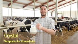  Presentation with milk dairy agriculture industry farming - Amazing slide set having agriculteur - agriculture industry farming people backdrop and a coral colored foreground